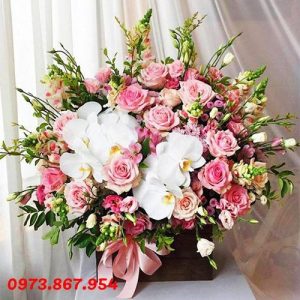 lãng-hoa-chúc-mừng-đẹp