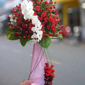 ke-hoa-chuc-mung-khai-truong