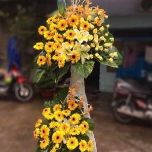 ke-hoa-chuc-mung-khai-truong