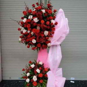 hoa-chuc-mung-khai-trương