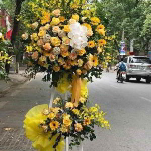 hoa-chuc-mung-khai-trương