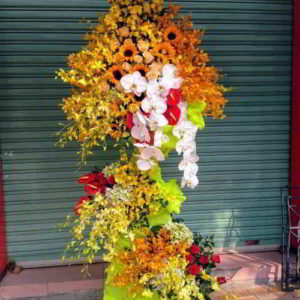 hoa-chuc-mung-khai-trương