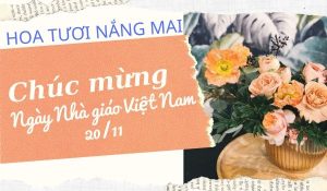 hoa-chuc-mung-ngay-nha-giao-viet-nam-20-11