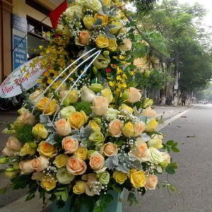 hoa-chuc-mung-sinh-nhat-dep