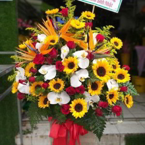 hop-hoa-chuc-mung-sinh-nhat-dep