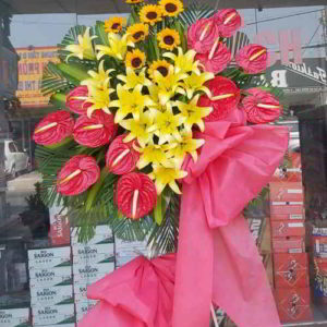 ke-hoa-chuc-mung-khai-truong-tai-di-an-binh-duong-KT1083