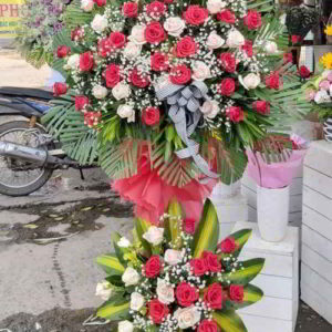 ke-hoa-chuc-mung-khai-truong-tai-di-an-binh-duong-KT1088