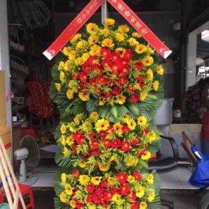 ke-hoa-chuc-mung-khai-truong-tai-di-an-binh-duong-KT1092