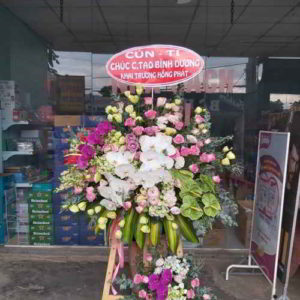 ke-hoa-chuc-mung-khai-truong-tai-di-an-binh-duong-KT1093