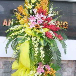 ke-hoa-chuc-mung-khai-truong-tai-di-an-binh-duong-KT1094