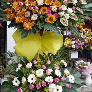 ke-hoa-chuc-mung-khai-truong-tai-di-an-binh-duong-KT1095