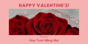 dat-hoa-valentine-1402-ngay-le-tinh-nhan