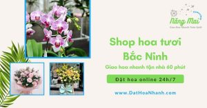 shop-hoa-tuoi-bac-ninh-nang-mai